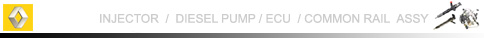 renault Injector,diesel pump,ecu, common rail assy